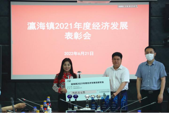 助力經(jīng)濟(jì)發(fā)展，美巢集團(tuán)股份公司獲瀛海鎮(zhèn)經(jīng)濟(jì)發(fā)展三項(xiàng)大獎(jiǎng)