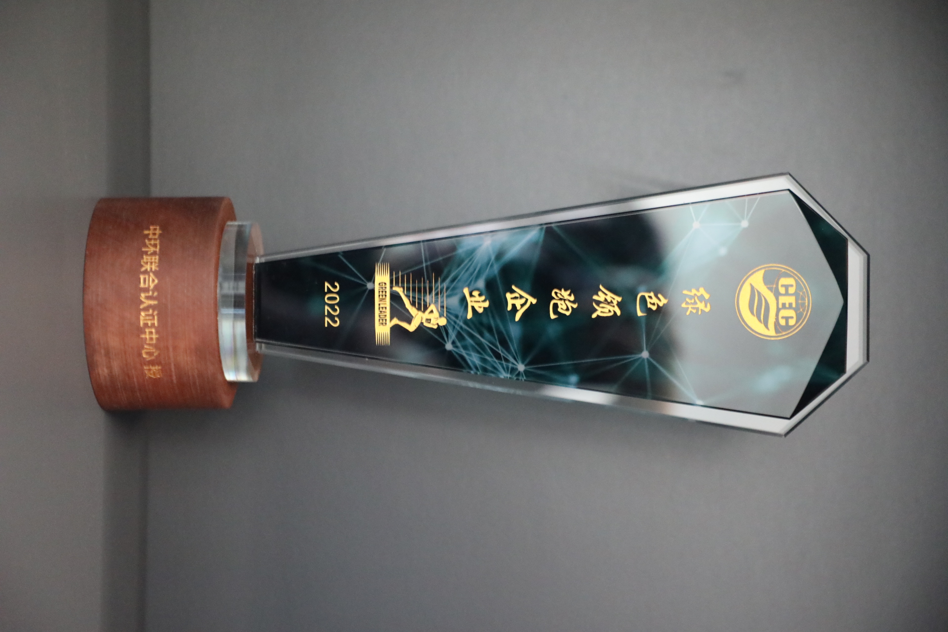 美巢深耕家裝環(huán)保輔料賽道，榮獲“綠色領(lǐng)跑企業(yè)”稱號